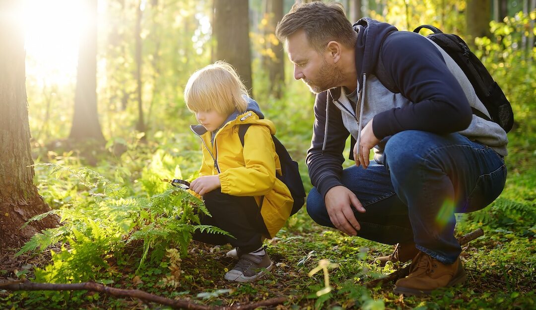Family-Friendly Places to Visit in Northern Virginia